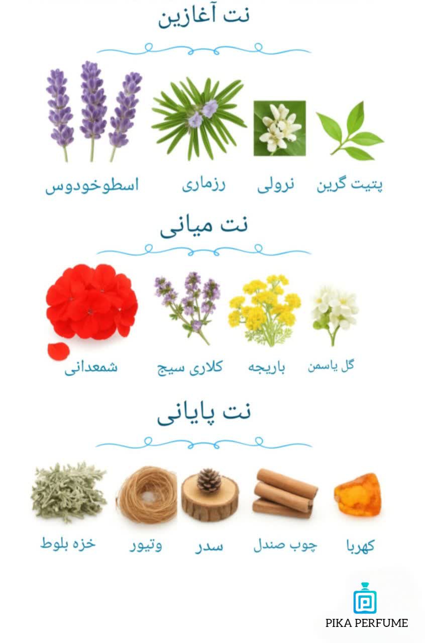 platinum chanel pika perfume best collection 2